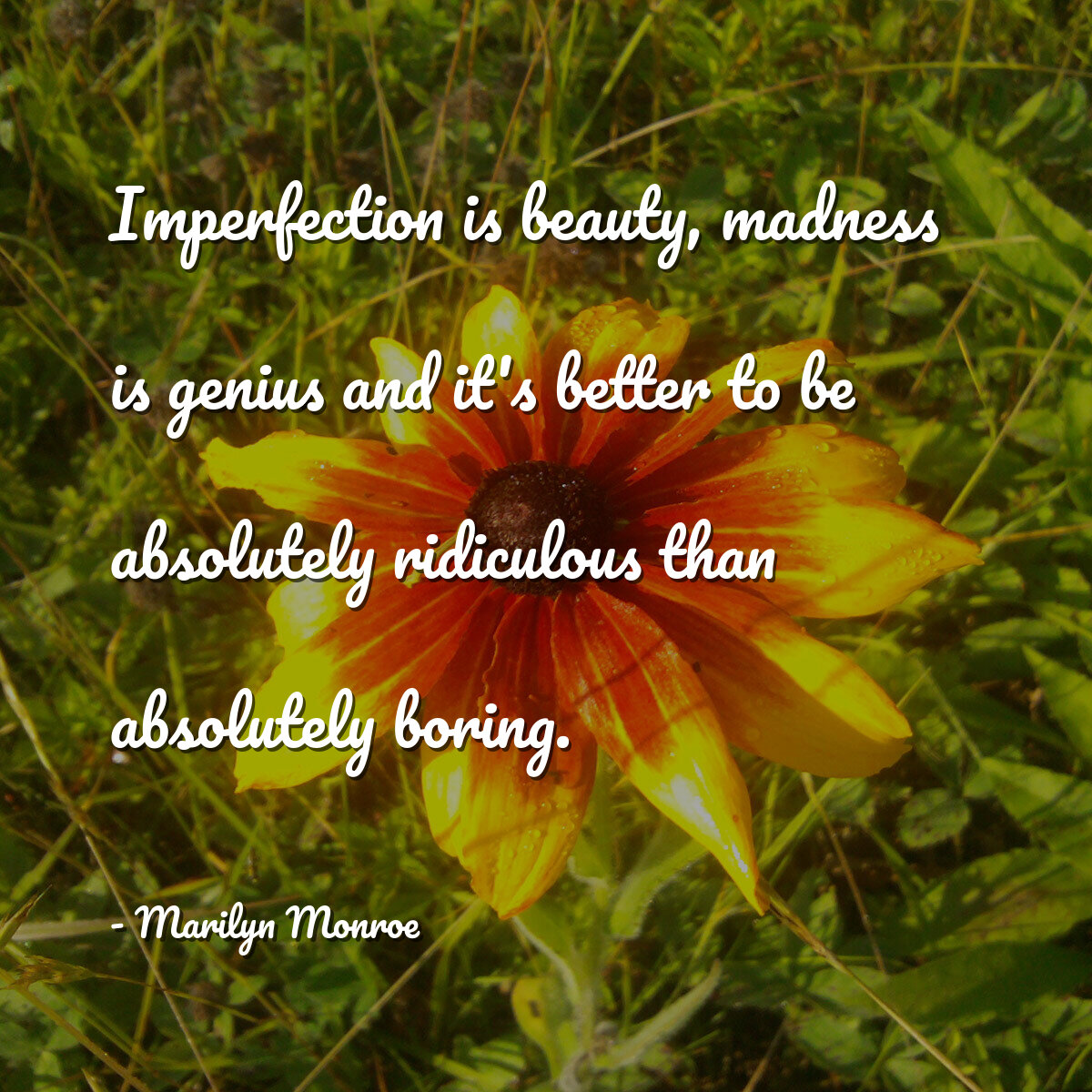 Imperfection is beauty, madness is genius and it's better to be absolutely ridiculous than absolutely boring.