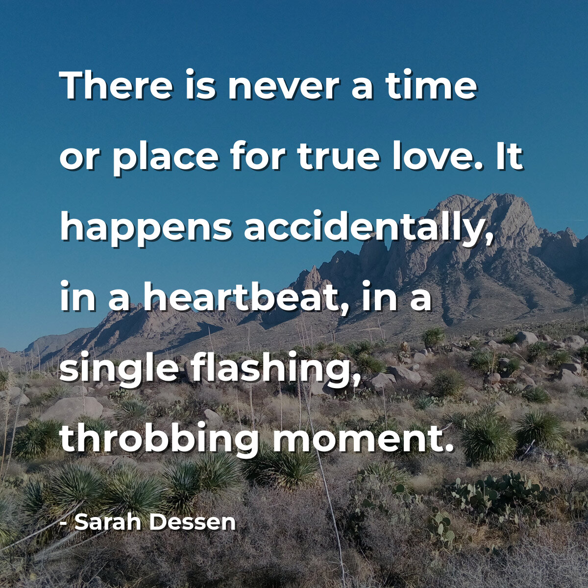 There is never a time or place for true love. It happens accidentally, in a heartbeat, in a single flashing, throbbing moment.