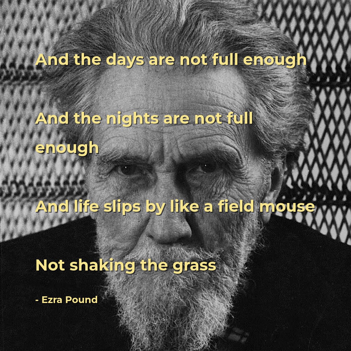 And the days are not full enough
And the nights are not full enough
And life slips by like a field mouse
Not shaking the grass