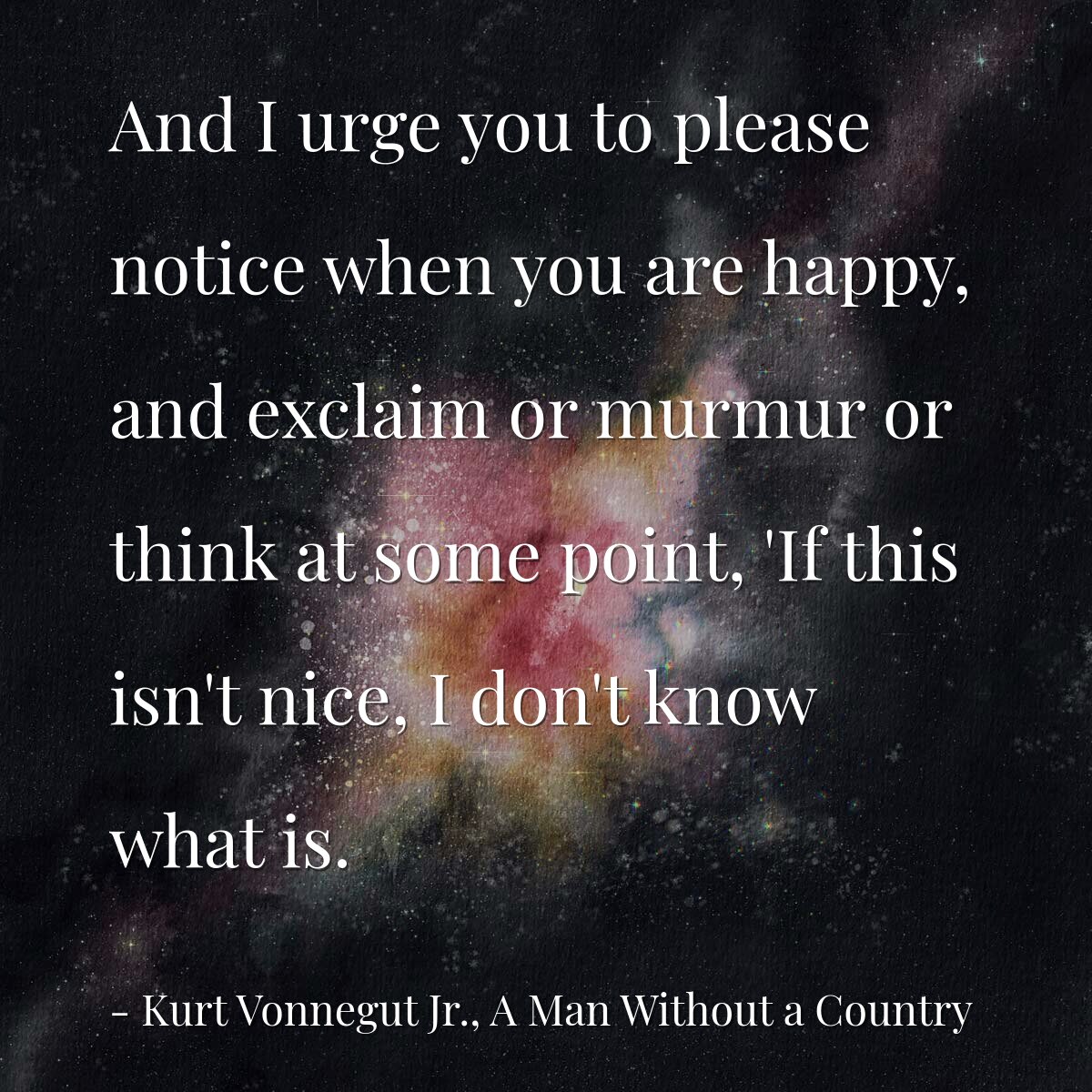 And I urge you to please notice when you are happy, and exclaim or murmur or think at some point, 'If this isn't nice, I don't know what is.