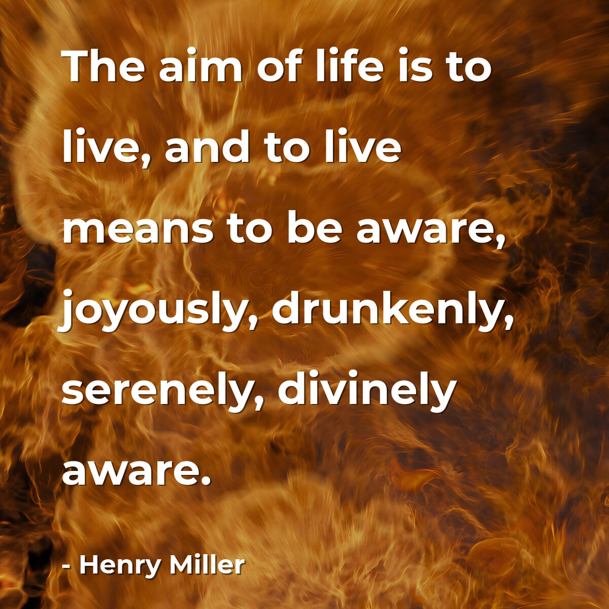 The aim of life is to live, and to live means to be aware, joyously, drunkenly, serenely, divinely aware.