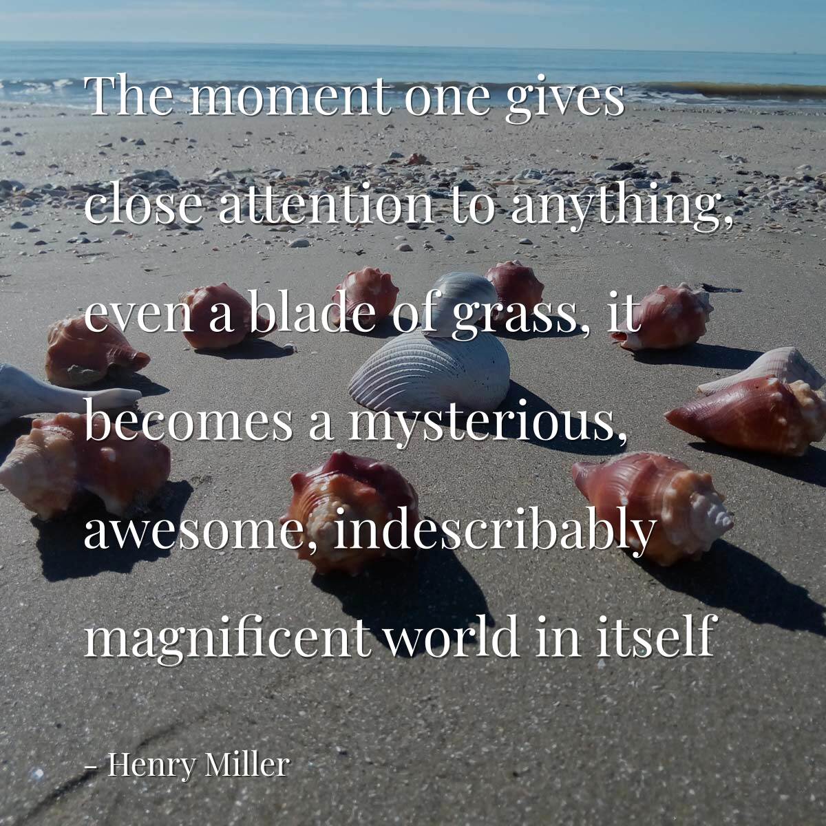 The moment one gives close attention to anything, even a blade of grass, it becomes a mysterious, awesome, indescribably magnificent world in itself