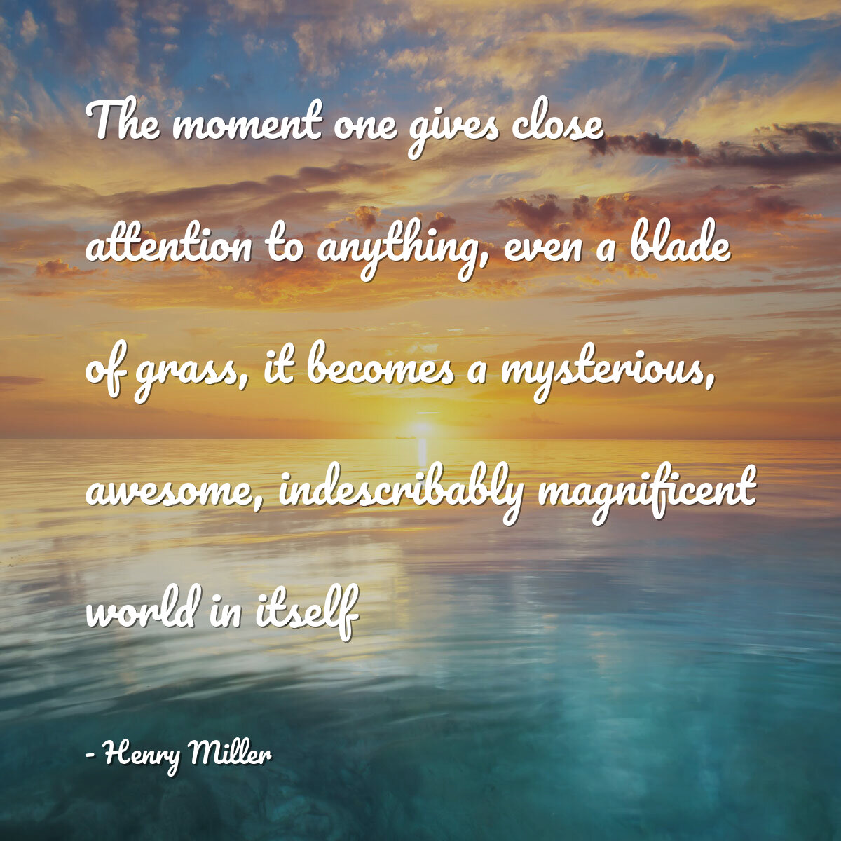 The moment one gives close attention to anything, even a blade of grass, it becomes a mysterious, awesome, indescribably magnificent world in itself