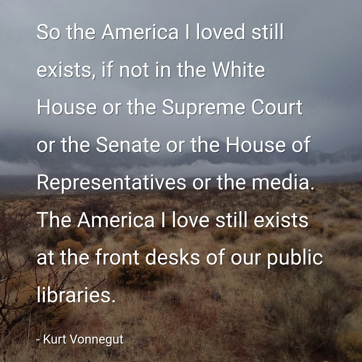So the America I loved still exists, if not in the White House or the Supreme Court or the Senate or the House of Representatives or the media. The America I love still exists at the front desks of our public libraries.