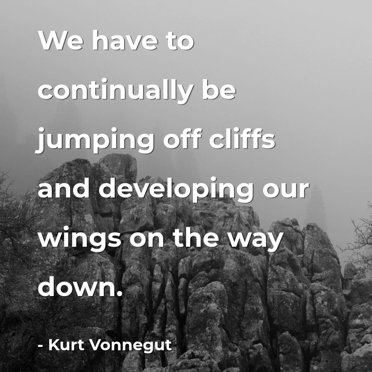 We have to continually be jumping off cliffs and developing our wings on the way down.