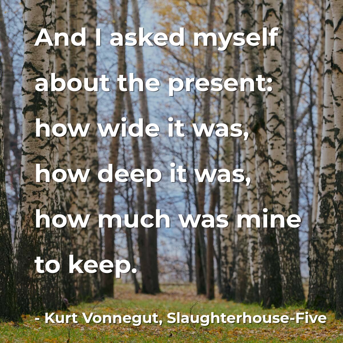 And I asked myself about the present: how wide it was, how deep it was, how much was mine to keep.