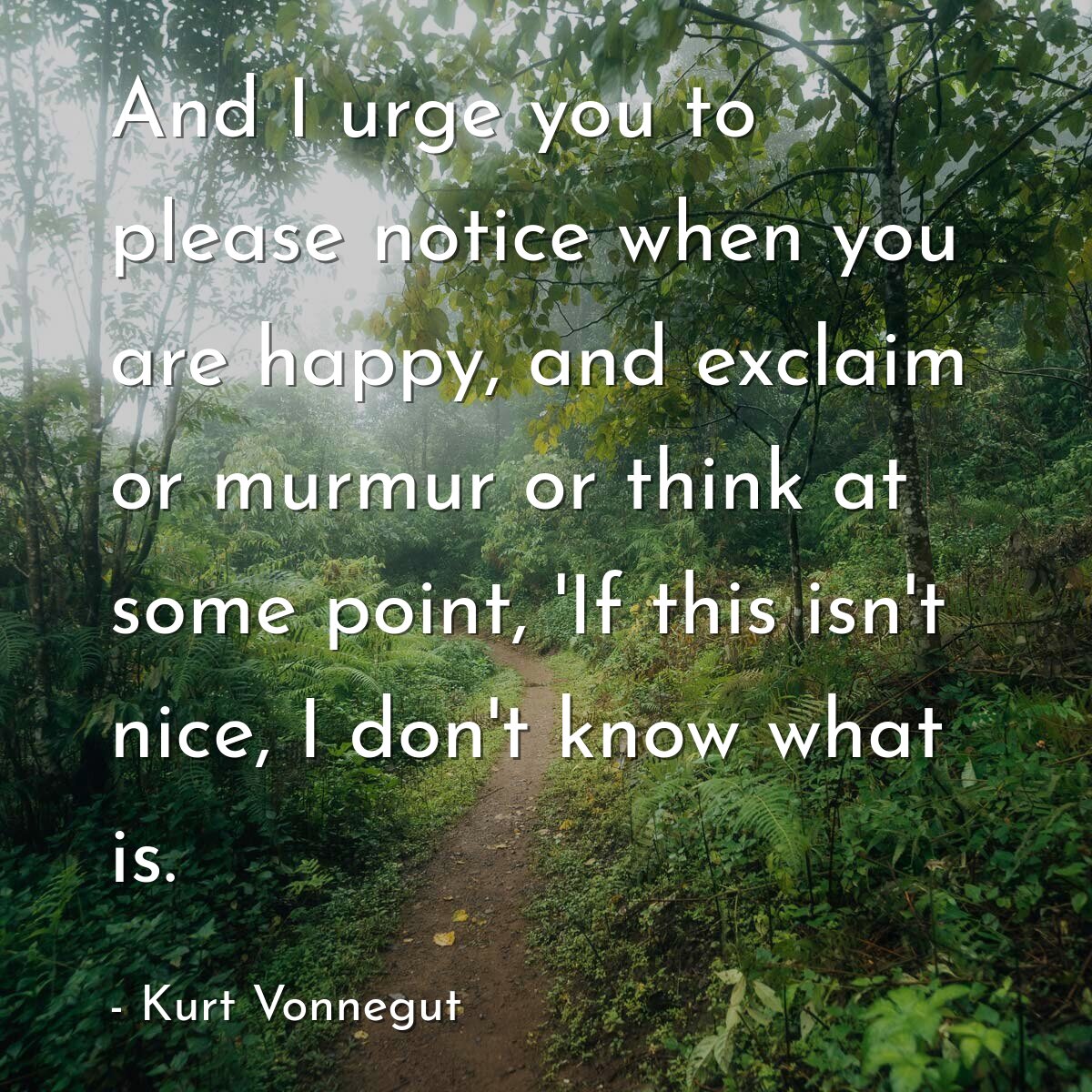 And I urge you to please notice when you are happy, and exclaim or murmur or think at some point, 'If this isn't nice, I don't know what is.