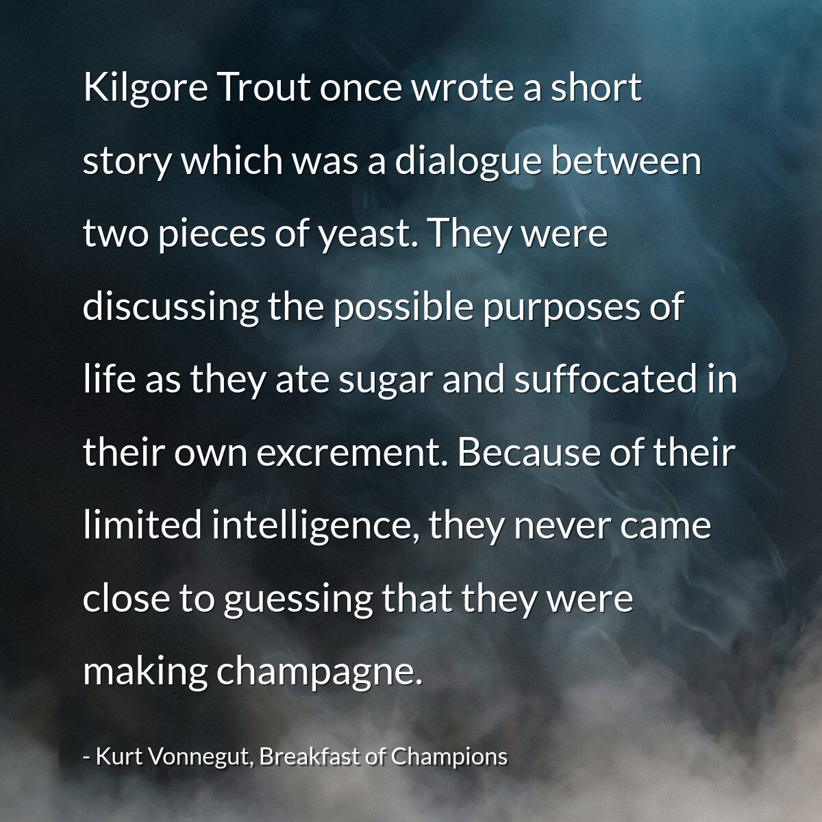 Kilgore Trout once wrote a short story which was a dialogue between two pieces of yeast. They were discussing the possible purposes of life as they ate sugar and suffocated in their own excrement. Because of their limited intelligence, they never came close to guessing that they were making champagne.