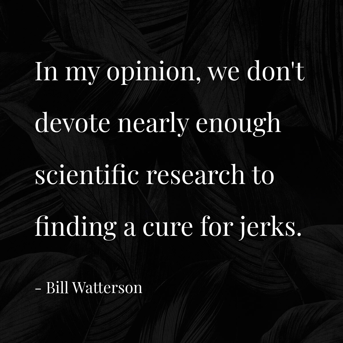 In my opinion, we don't devote nearly enough scientific research to finding a cure for jerks.