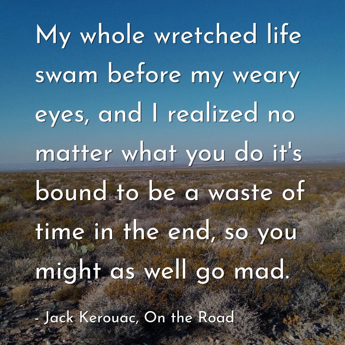 My whole wretched life swam before my weary eyes, and I realized no matter what you do it's bound to be a waste of time in the end, so you might as well go mad.
