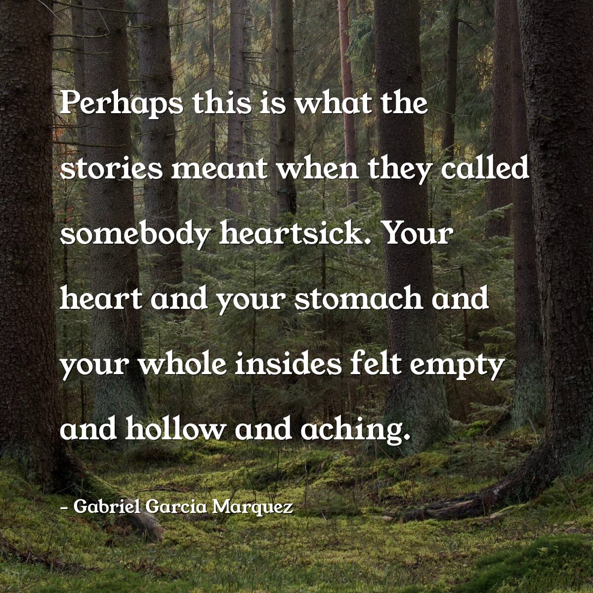 Perhaps this is what the stories meant when they called somebody heartsick. Your heart and your stomach and your whole insides felt empty and hollow and aching.