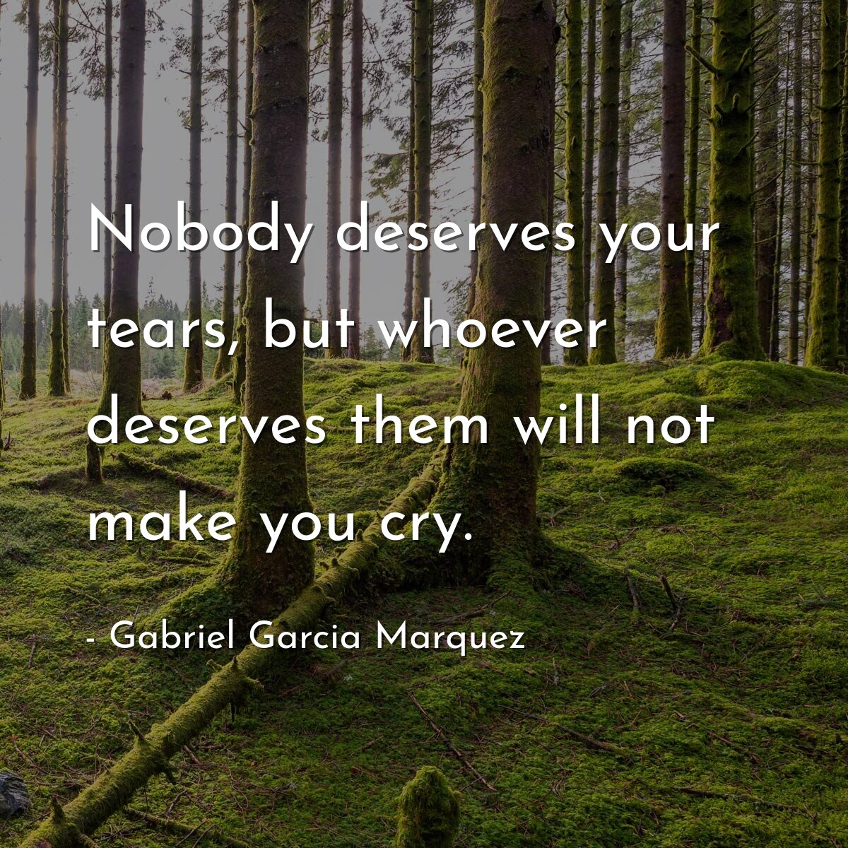 Nobody deserves your tears, but whoever deserves them will not make you cry.