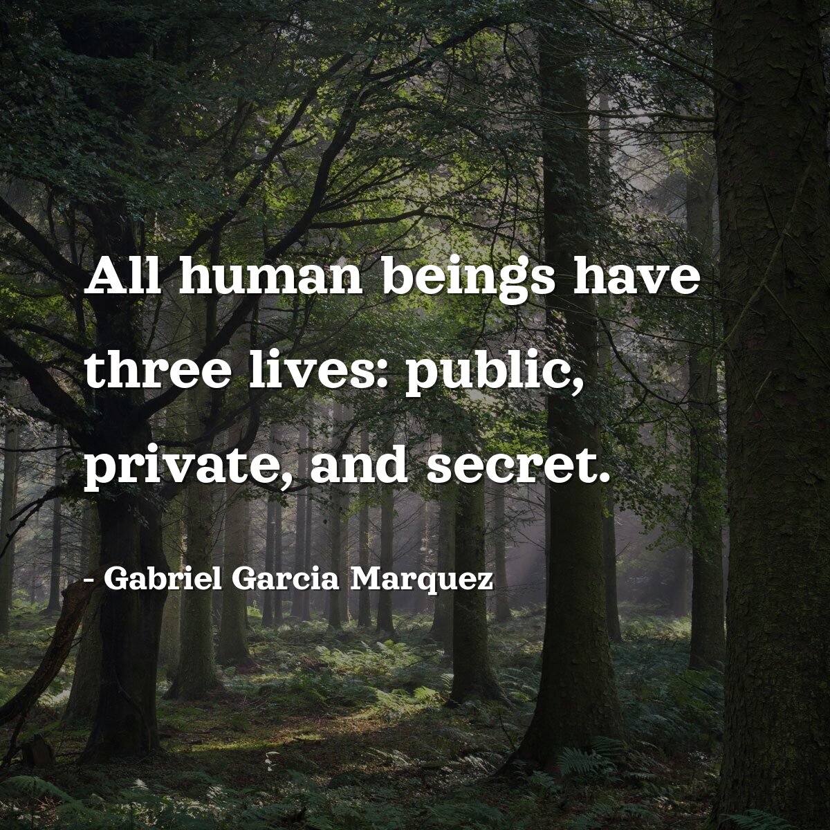 All human beings have three lives: public, private, and secret.