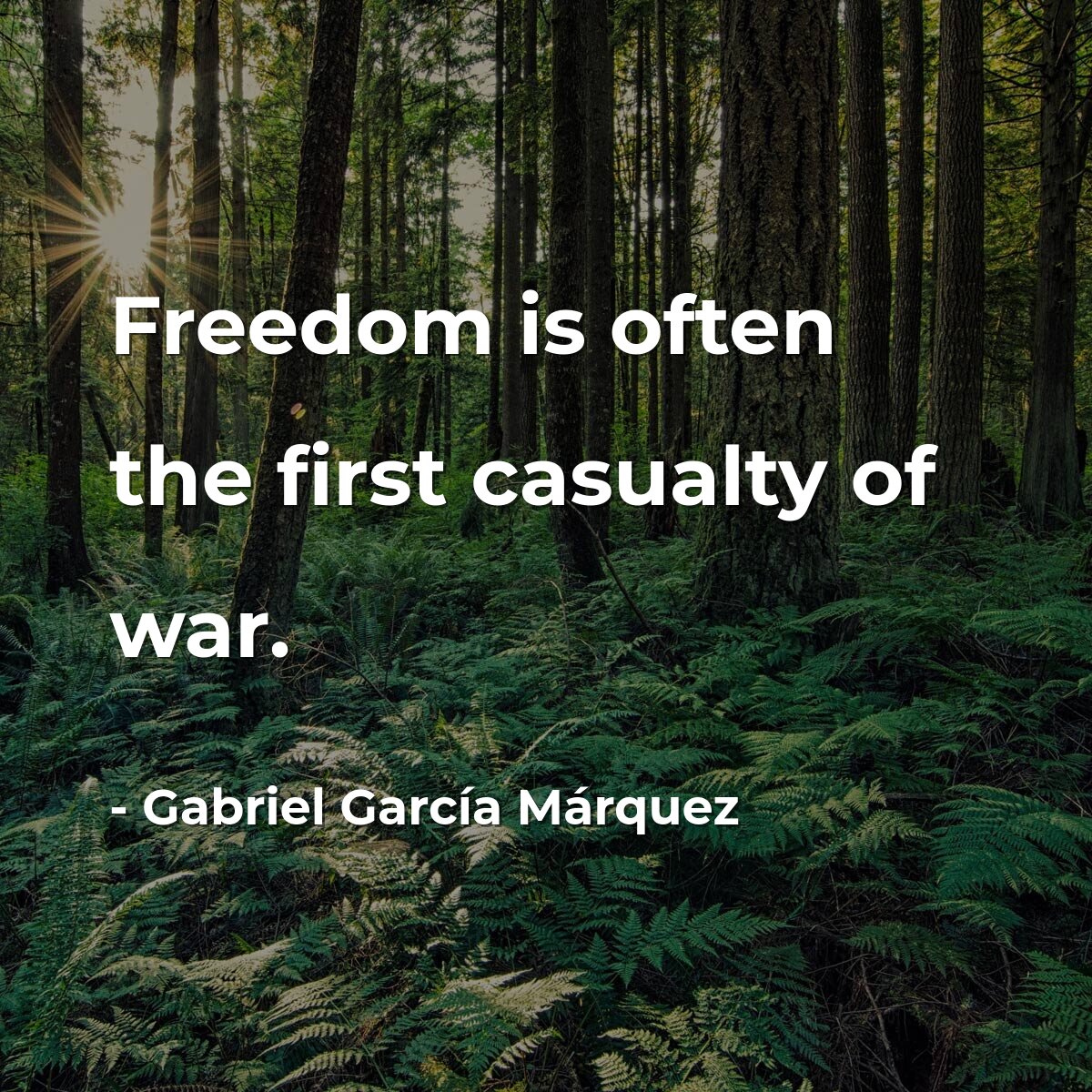 Freedom is often the first casualty of war.