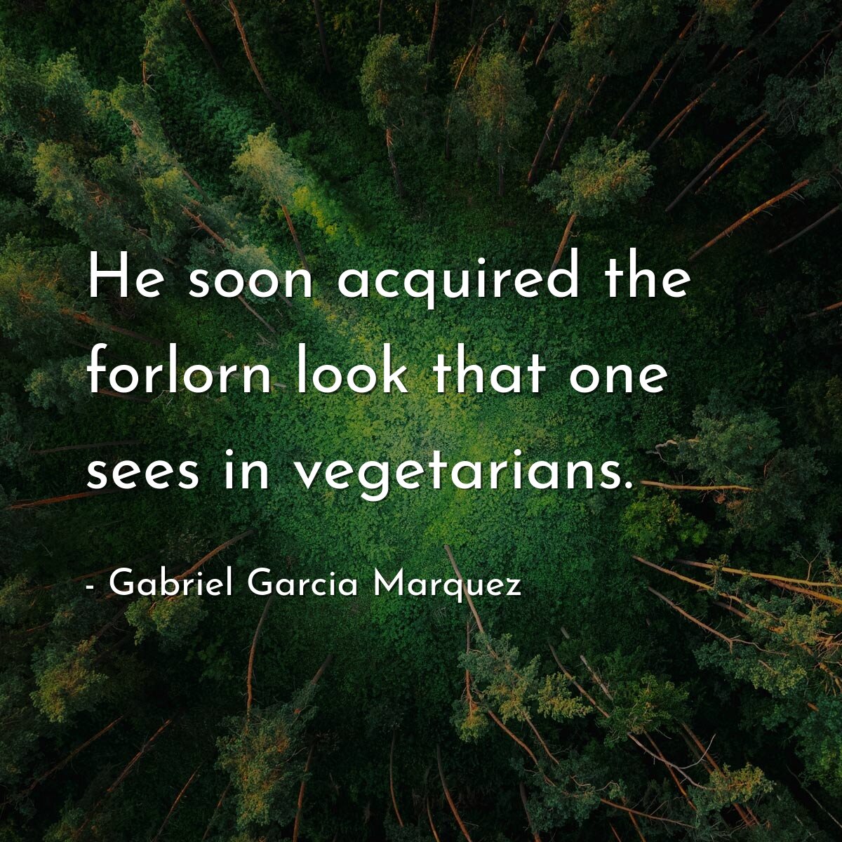 He soon acquired the forlorn look that one sees in vegetarians.