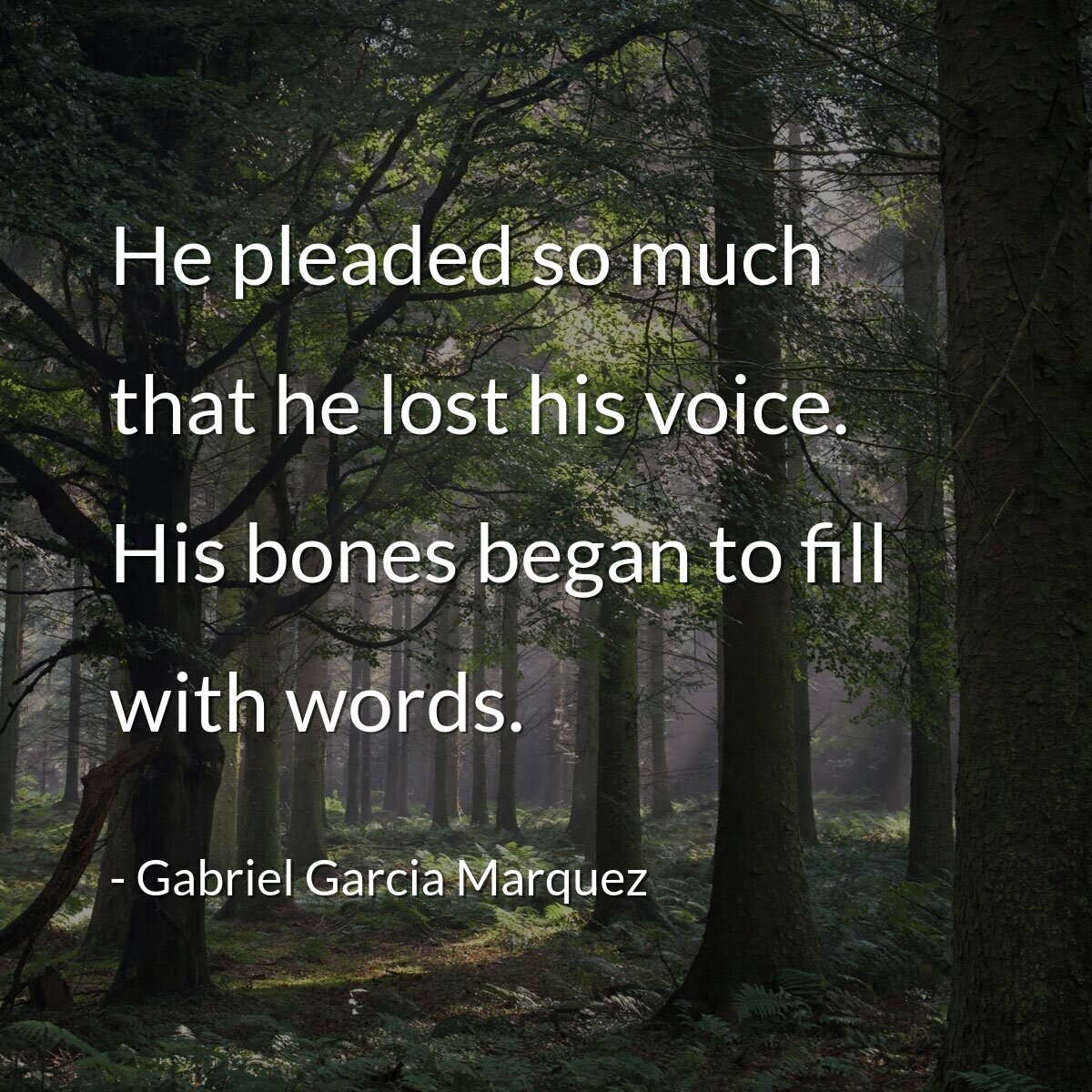 He pleaded so much that he lost his voice. His bones began to fill with words.