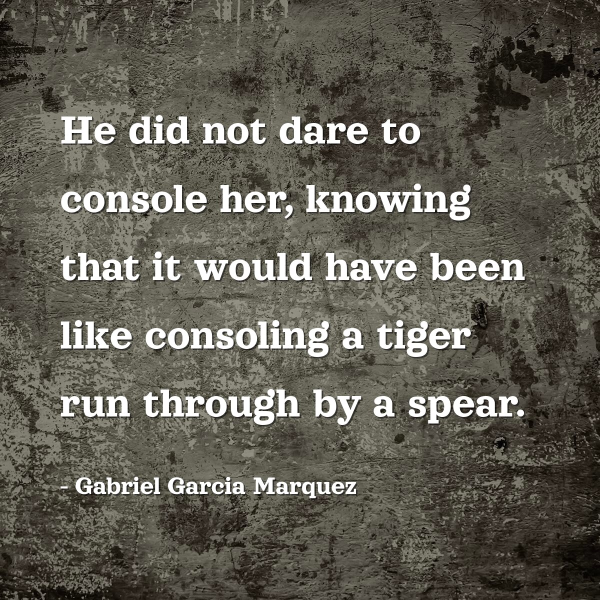 He did not dare to console her, knowing that it would have been like consoling a tiger run through by a spear.