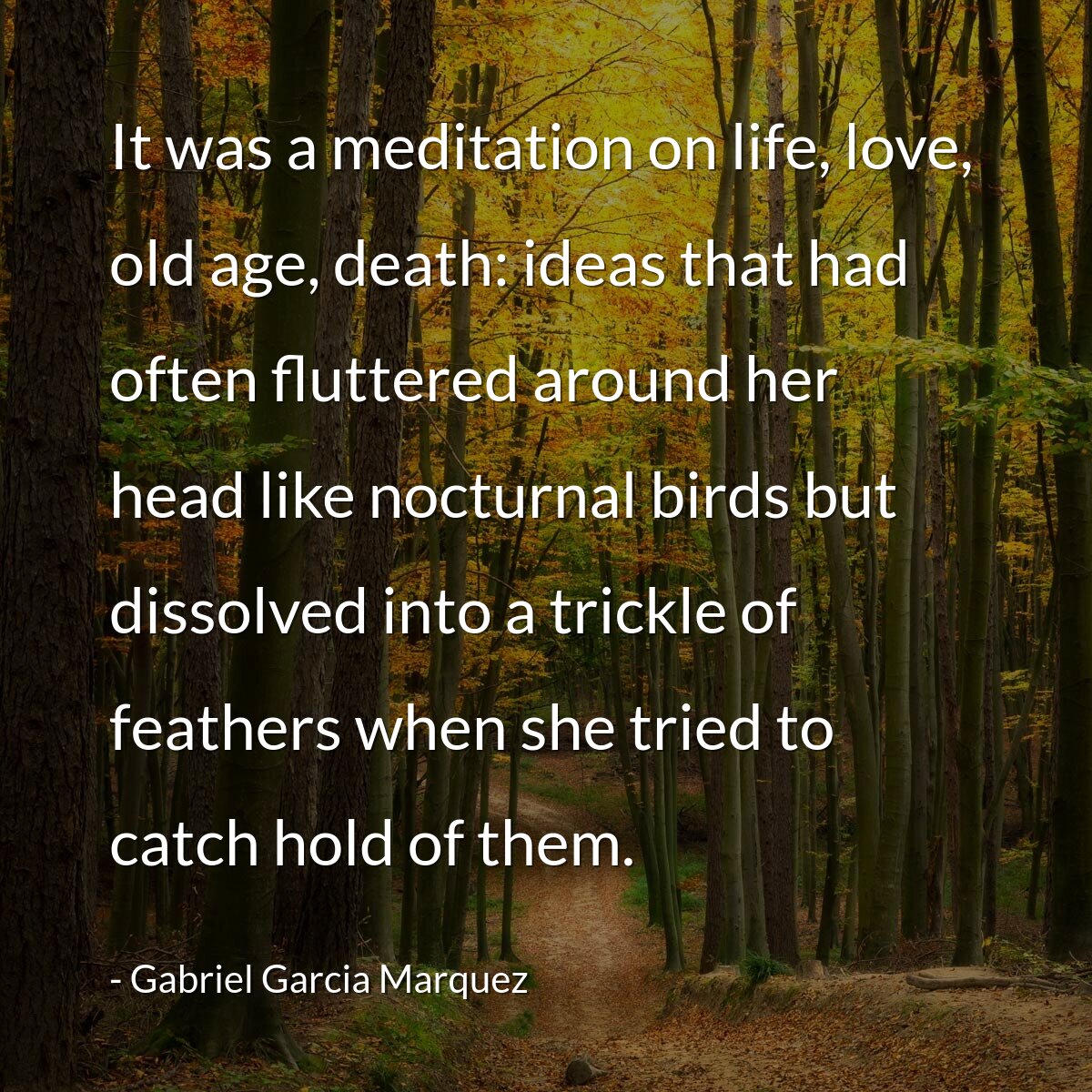 It was a meditation on life, love, old age, death: ideas that had often fluttered around her head like nocturnal birds but dissolved into a trickle of feathers when she tried to catch hold of them.