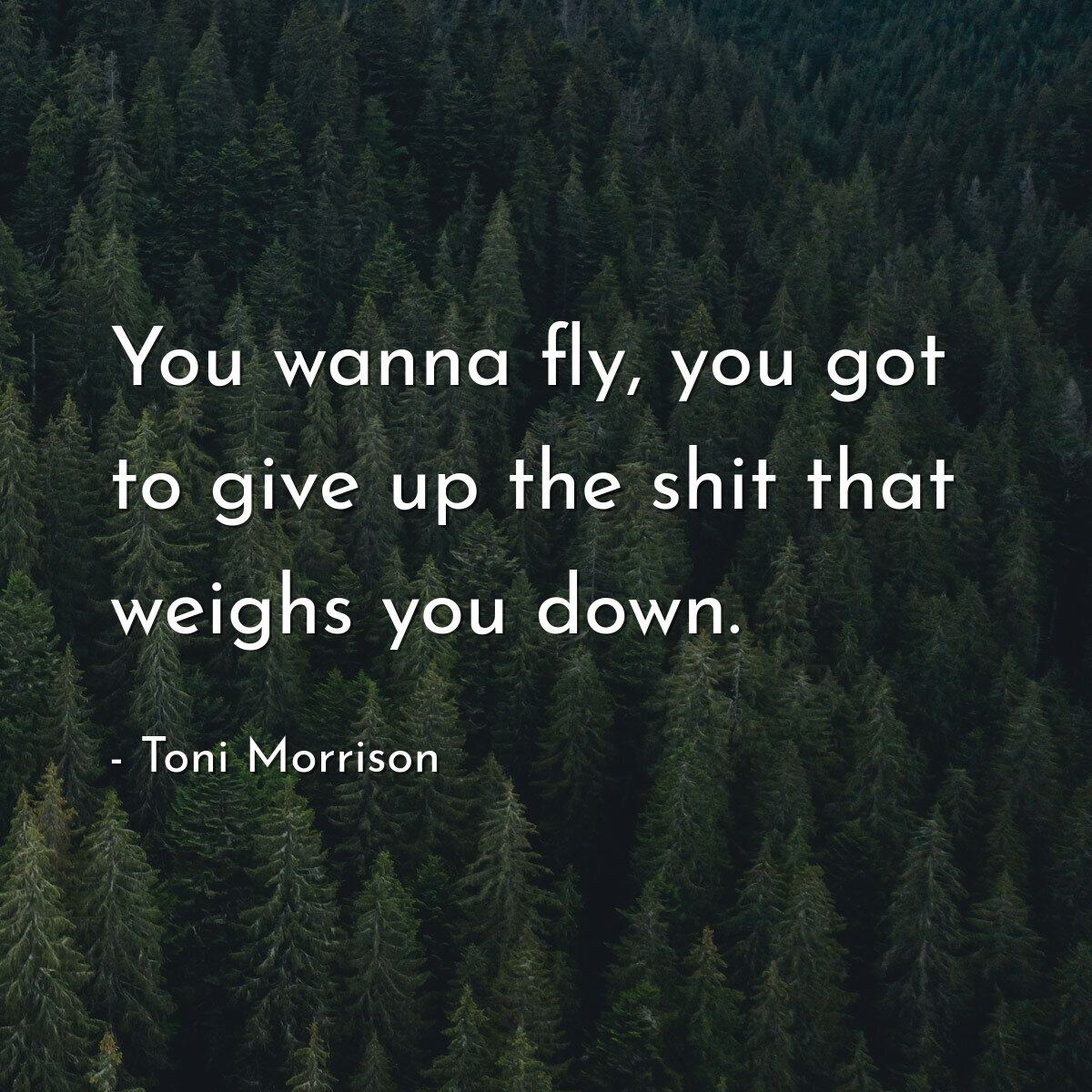 You wanna fly, you got to give up the shit that weighs you down.