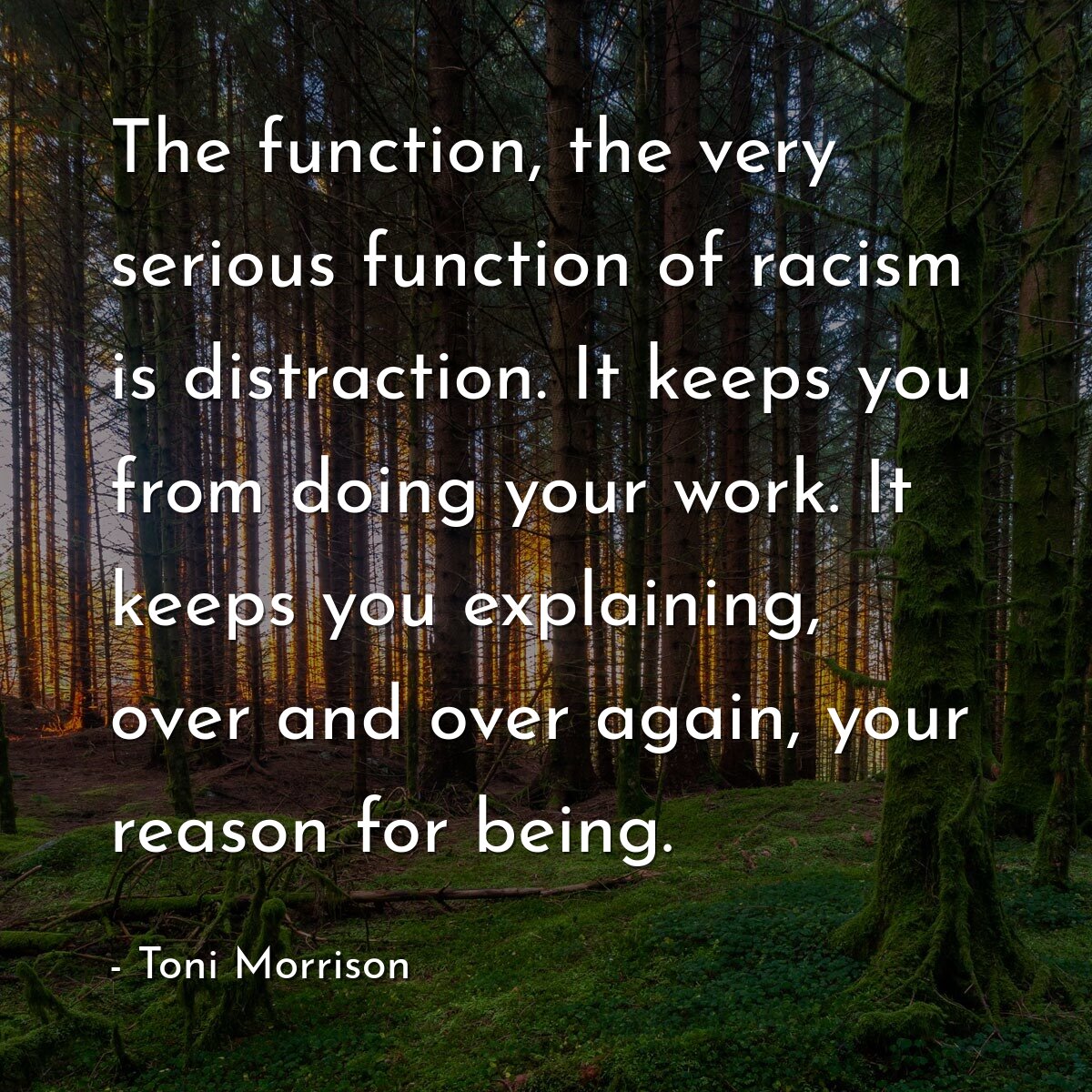 The function, the very serious function of racism is distraction. It keeps you from doing your work. It keeps you explaining, over and over again, your reason for being.