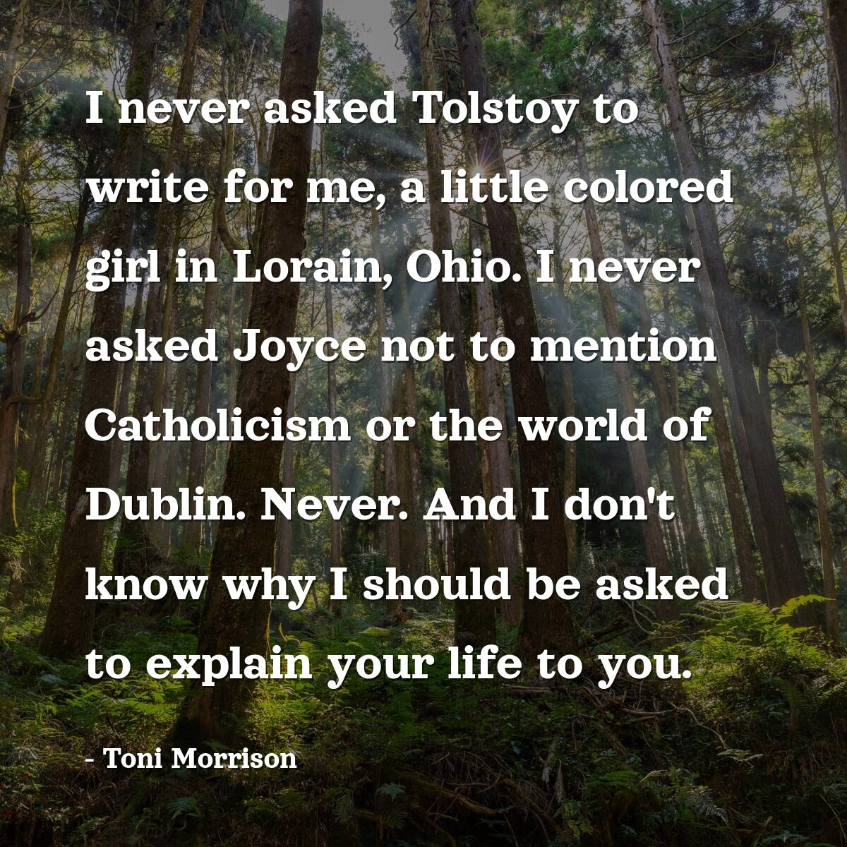 I never asked Tolstoy to write for me, a little colored girl in Lorain, Ohio. I never asked Joyce not to mention Catholicism or the world of Dublin. Never. And I don't know why I should be asked to explain your life to you.