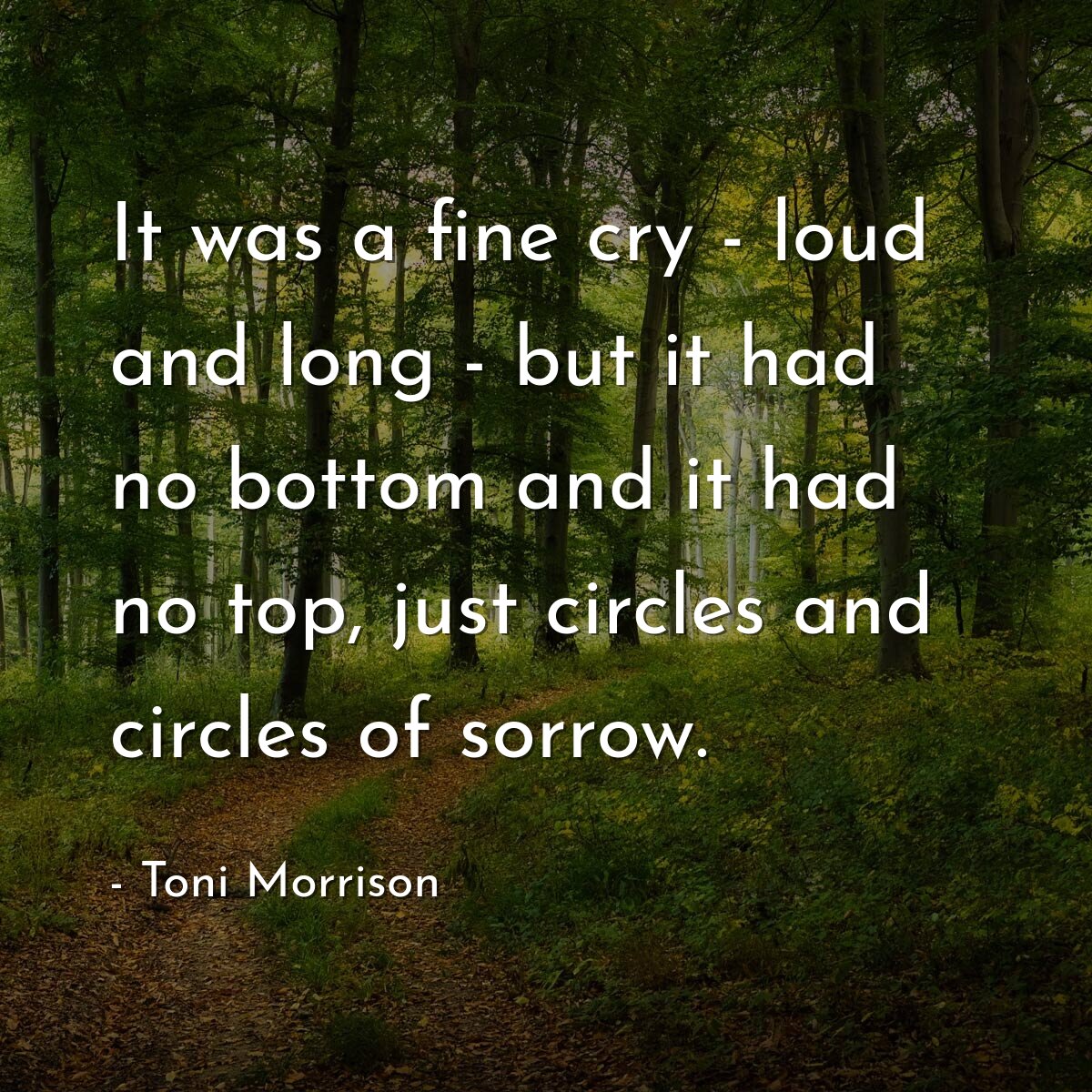 It was a fine cry - loud and long - but it had no bottom and it had no top, just circles and circles of sorrow.