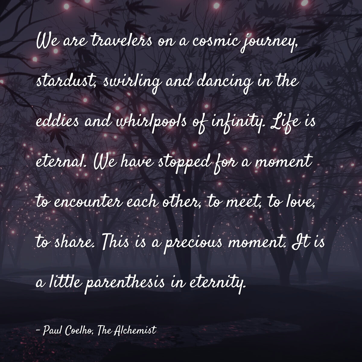 We are travelers on a cosmic journey, stardust, swirling and dancing in the eddies and whirlpools of infinity. Life is eternal. We have stopped for a moment to encounter each other, to meet, to love, to share. This is a precious moment. It is a little parenthesis in eternity.