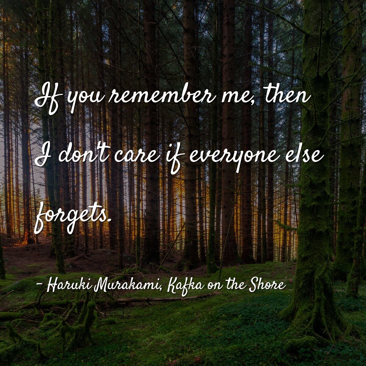 If you remember me, then I don't care if everyone else forgets.